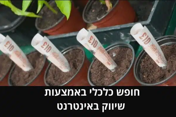 חופש כלכלי באמצעות שיווק באינטרנט