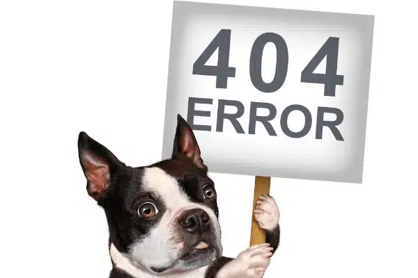 שגיאה 404 - אפשר גם לשלב אלמנטים מצחיקים