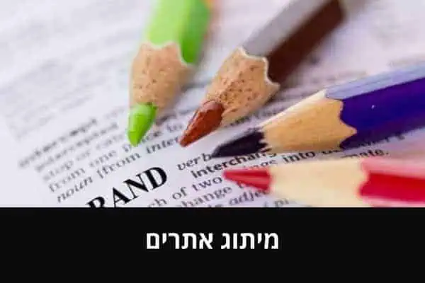 מיתוג אתרים