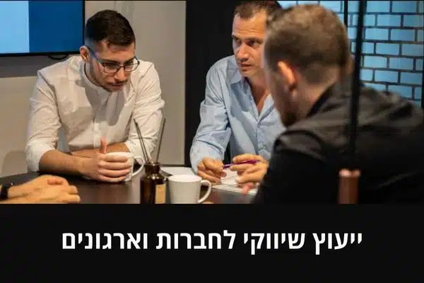 ייעוץ שיווקי לחברות וארגונים