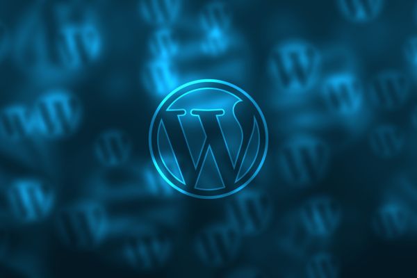תוספים ל-WordPress